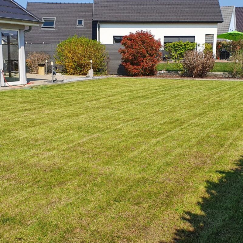 Entretien de jardin Riedisheim 15