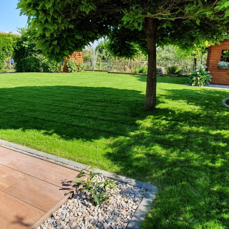Entretien de jardin Colmar 14