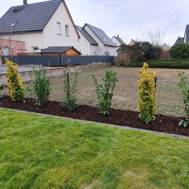Entretien de jardin Cernay 12