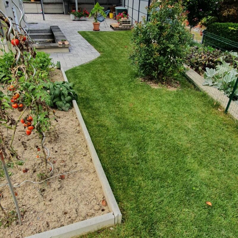 Entretien de jardin Wittenheim 9