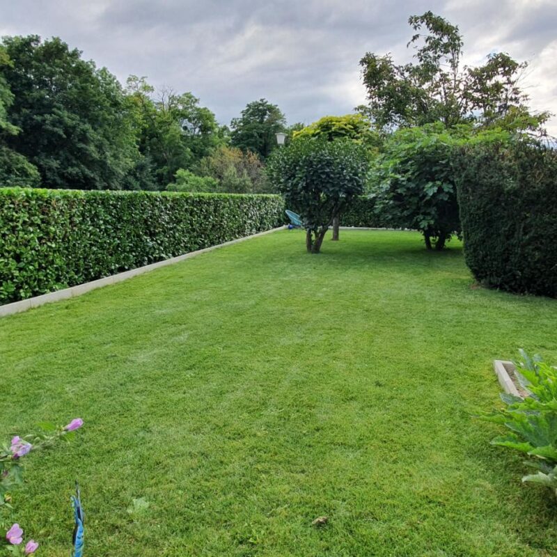 CHANTIERS CREAJARDIN228 800X800 | Créa jardins Photos page d’accueil Riedisheim 2