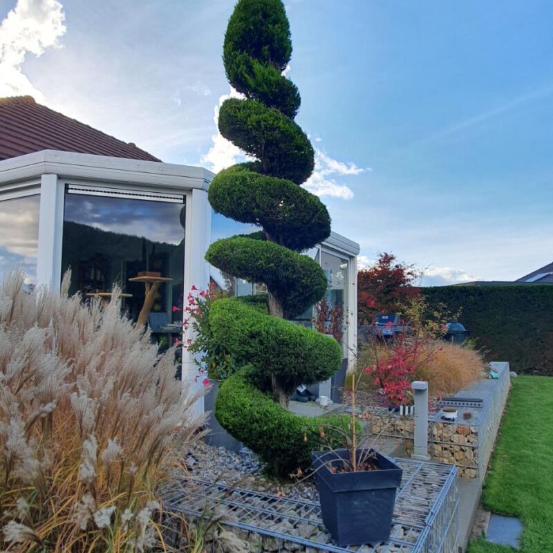 CHANTIERS CREAJARDIN243 800X800 | Créa jardins Photos page d’accueil Wittenheim 9