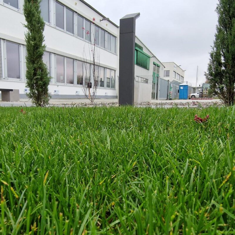 Entretien de jardin Sélestat 5