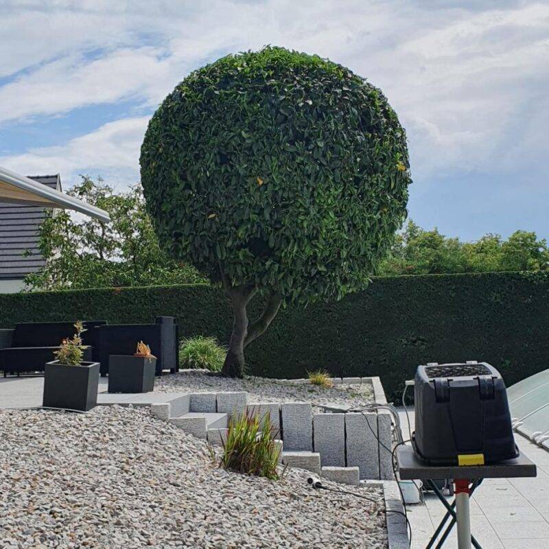 Des prestations d&#8217;excellence pour sublimer vos espaces extérieurs Kingersheim 2